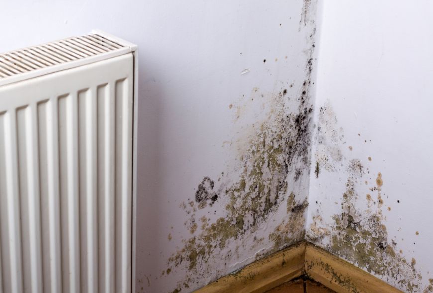 vicios ocultos en vivienda